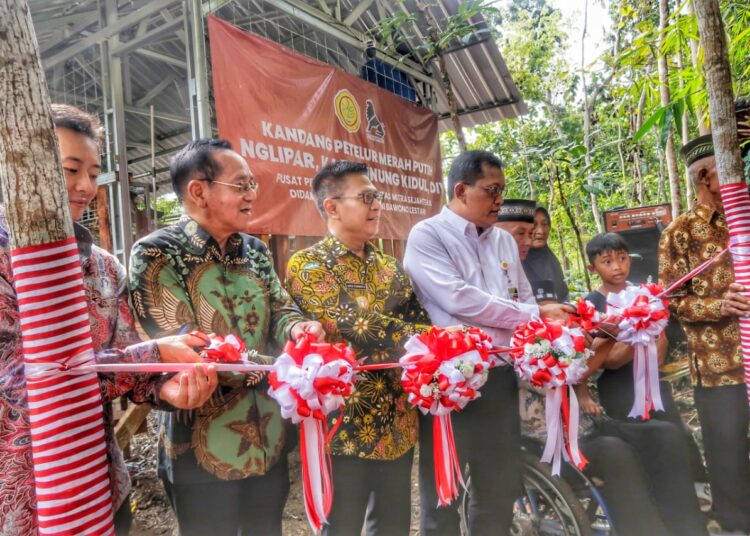 Kandang ‘Merah Putih’ Charoen Pokphand Indonesia Bantu Masyarakat Disabilitas