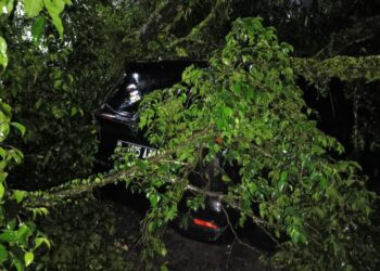 Pohon Beringin Tumbang di Cikalong Tasikmalaya, Timpa Warung, 1 Mobil dan 9 Motor