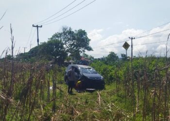 Mobil Tabrak Warung dan Masuk Perkebunan di Cikelet Garut, Ini Kondisinya
