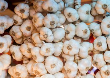 Jangan Dianggap Sepele, Ini Manfaat Bawang Putih buat Kesehatan Tubuh!