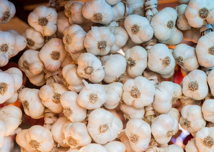 Jangan Dianggap Sepele, Ini Manfaat Bawang Putih buat Kesehatan Tubuh!