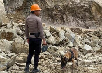 Hebatnya K9, Mampu Temukan Sejumlah Jasad Korban Longsor Galian C Cirebon