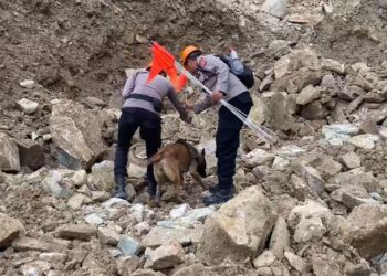 K9 Jadi Andalan, 21 Jasad Korban Longsor Galian C Cirebon Ditemukan