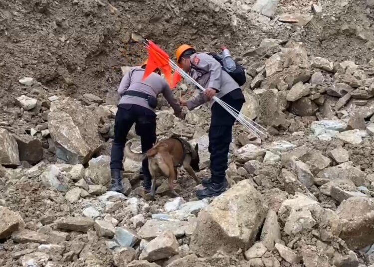 K9 Jadi Andalan, 21 Jasad Korban Longsor Galian C Cirebon Ditemukan
