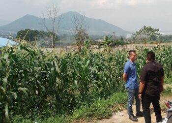 Status Lahan Garapan di Sumedang Menghangat, Sebagian akan “Dikuasai” Polda Jabar?