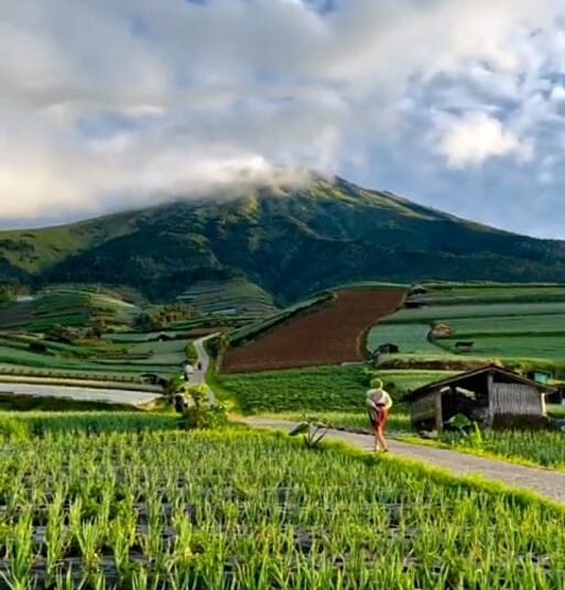 Ekowisata Konservasi Butuh Dukungan Pengembangan Kawasan Gunung Ciremai