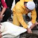 Jelang Idul Adha, Juru Sembelih Hewan Kurban Mendapatkan Pelatihan Dari Diskanak