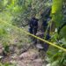 Warga Digegerkan Temuan Jasad Bayi Perempuan di Sungai Tugu Jaya Cipatujah Tasikmalaya