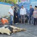 Demokrat Kuningan Berbagi 1 Ekor Sapi, 100 Paket Daging Kurban Dibagikan