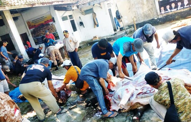 Rayakan Idul Adha, DPC Gerindra Kuningan Salurkan 3 Sapi Kurban