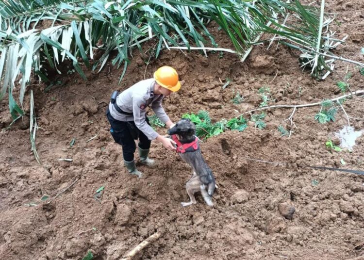 Tim SAR Gabungan Cari Korban Tertimbun Longsor di Kutawaringin Tasik, Libatkan K9