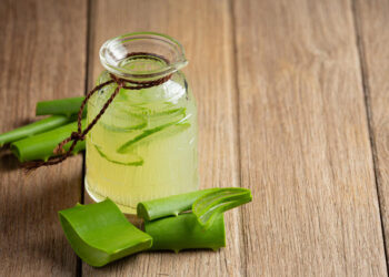 Tidak Disangka, Ini 5 Manfaat Lidah Buaya Bagi Kesehatan, Bisa Cegah Diabetes!