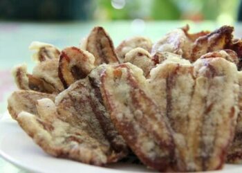 Berikut Oleh-Oleh Khas Tasikmalaya yang Unik dan Jarang Diketahui, Wajib Beli Ini Jika ke Kota Santri !