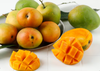 Oleh-Oleh Makanan Khas Majalengka Jawa Barat yang Jadi Buruan di Tahun 2025