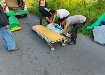 Gresik tewas (Istimewa)