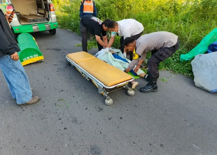 Gresik tewas (Istimewa)