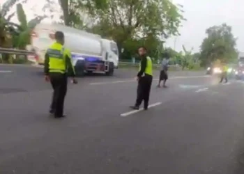 Ngawi tewas (Istimewa)