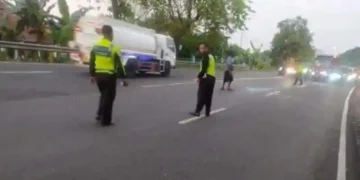 Ngawi tewas (Istimewa)