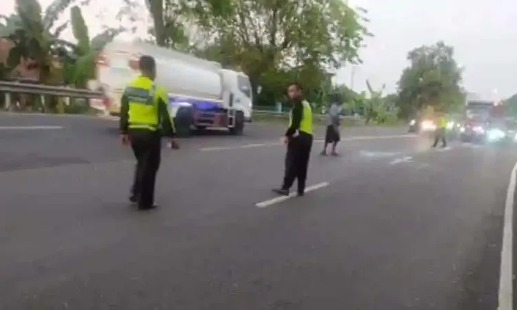 Ngawi tewas (Istimewa)