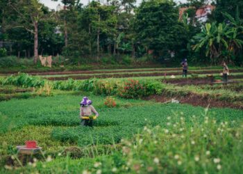 Kemenperin Perkuat Industri Alsintan, Ini Tujuannya