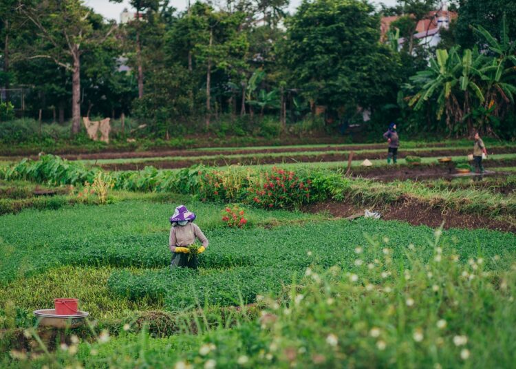 Kemenperin Perkuat Industri Alsintan, Ini Tujuannya