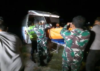 Ngawi tewas (Istimewa)