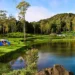 5 Tempat Camping Murah dan Asri di Sekitar Bandung