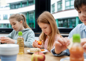 33.378 -Lowongan-PPPK-Dibuka!-Kesempatan-Emas-Jadi-Bagian-Program-Makan-Siang-Gratis-Nasional