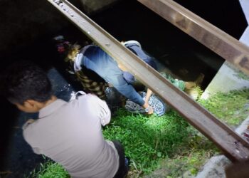 Jember tewas (Istimewa)