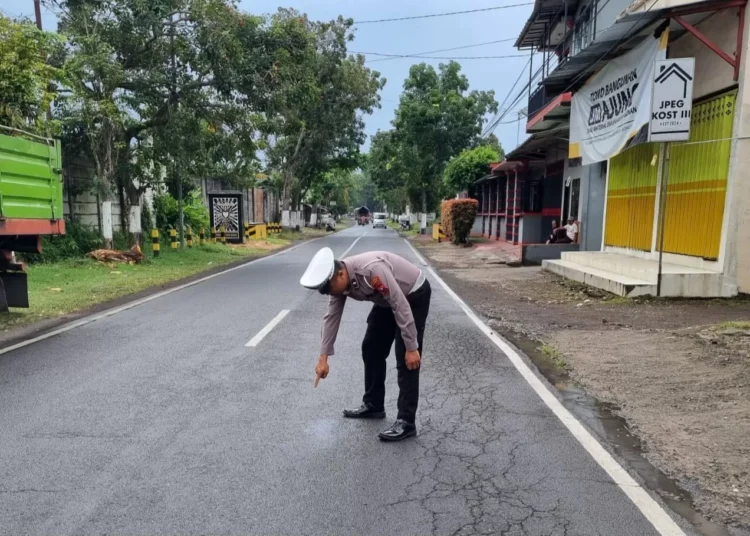 Jember kecelakaan (istimewa)