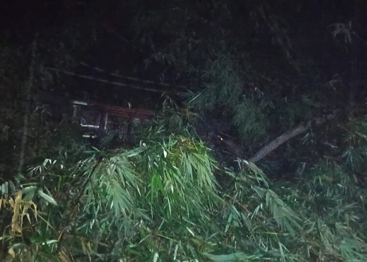 Truk Crane Terjun ke Jurang Sedalam 40 Meter di Jalan Raya Samarang Garut, Ini Kronologinya