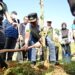Cegah Longsor dan Banjir, Bupati Garut Tanam Pohon Kayu Keras di Kaki Gunung Guntur