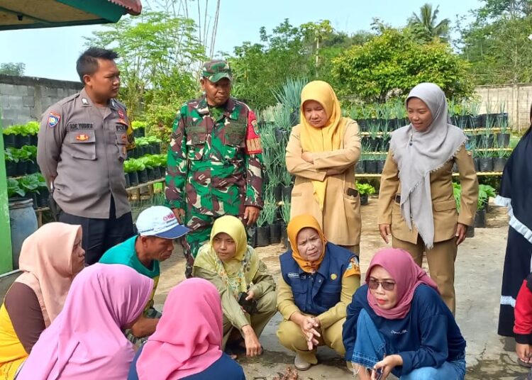 Dukung Ketahanan Pangan, Polsek Banyuresmi Monitoring Lahan Jagung