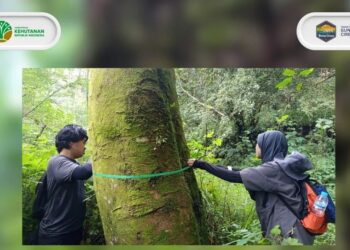 Praktik Lapang Kehutanan IPB University di Kawasan Gunung Ciremai