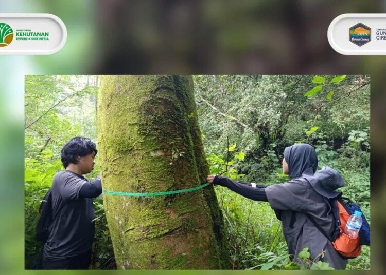 Praktik Lapang Kehutanan IPB University di Kawasan Gunung Ciremai