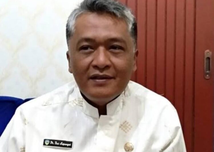 Penderita DBD di Kota Tasikmalaya Mencapai 471 Orang, 2 Pasien Meninggal, Ini Penjelasan Kadinkes