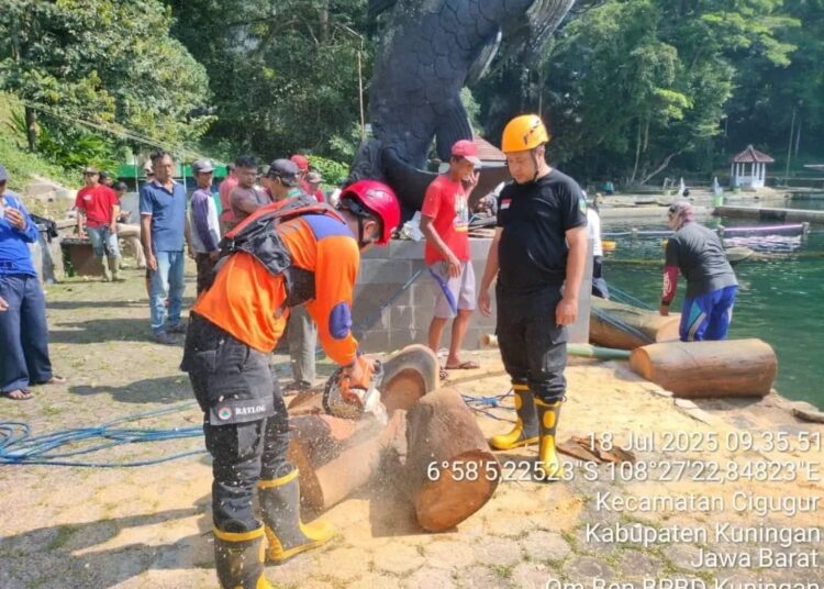 Pohon Usia 100 Tahun Lebih Tumbang di Obyek Wisata Balong Girang Cigugur Kuningan