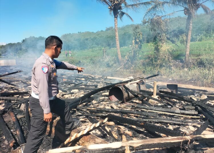 Hamid Pasrah Melihat Kandang Ayam Miliknya Ludes Terbakar di Selaawi Garut