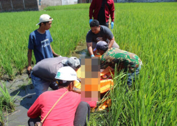 Warga Kampung Maleer Garut Digegerkan Penemuan Mayat Pria di Pematang Sawah