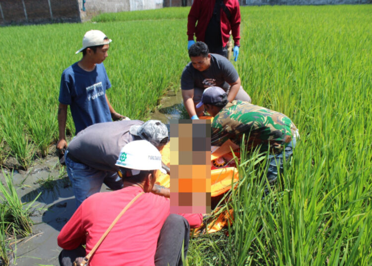 Warga Kampung Maleer Garut Digegerkan Penemuan Mayat Pria di Pematang Sawah