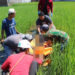 Warga Kampung Maleer Garut Digegerkan Penemuan Mayat Pria di Pematang Sawah