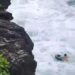 Dramatis, Saat Warga Selamatkan 1 dari 3 Mahasiswa Ikopin yang Tenggelam di Pantai Puncak Guha Garut
