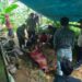 Tragis, Petani Tewas Jatuh dari Pohon Aren Setinggi 20 Meter di Cisewu Garut
