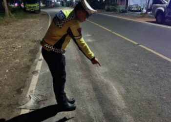Jember tewas (Istimewa)