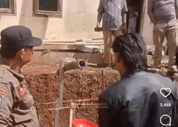 Sedang Heboh di Cianjur Fenomena Bambu Petuk Keluarkan Air Tanpa Henti, Trik atau Keajaiban Alam? Ini Jawabannya