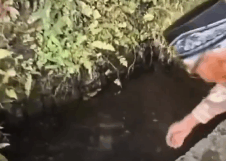 Viral Video Warga Minum Mata Air Rasa Soda, Ada yang Sebut Mirip Sprit