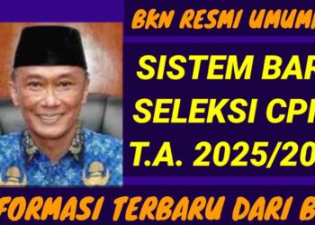 Sistem Seleksi CPNS 2025 Dirombak, Simak Perbedaannya!