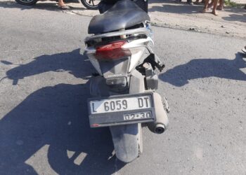 Gresik tewas (Istimewa)