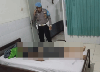 Jember tewas (Istimewa)