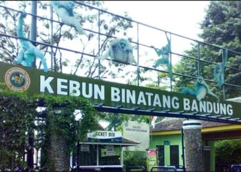 Waspada, Isu Kebun Binatang Bandung Akan Jadi Hotel, Bakal Timbulkan Kemarahan Budaya